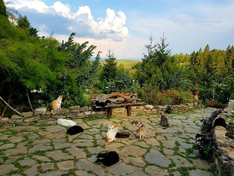 Spravzhnya Kazka Hotel Podobovets Exterior photo
